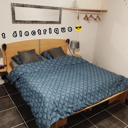 Appartement Avec Cour Plein Centre Foix Zewnętrze zdjęcie