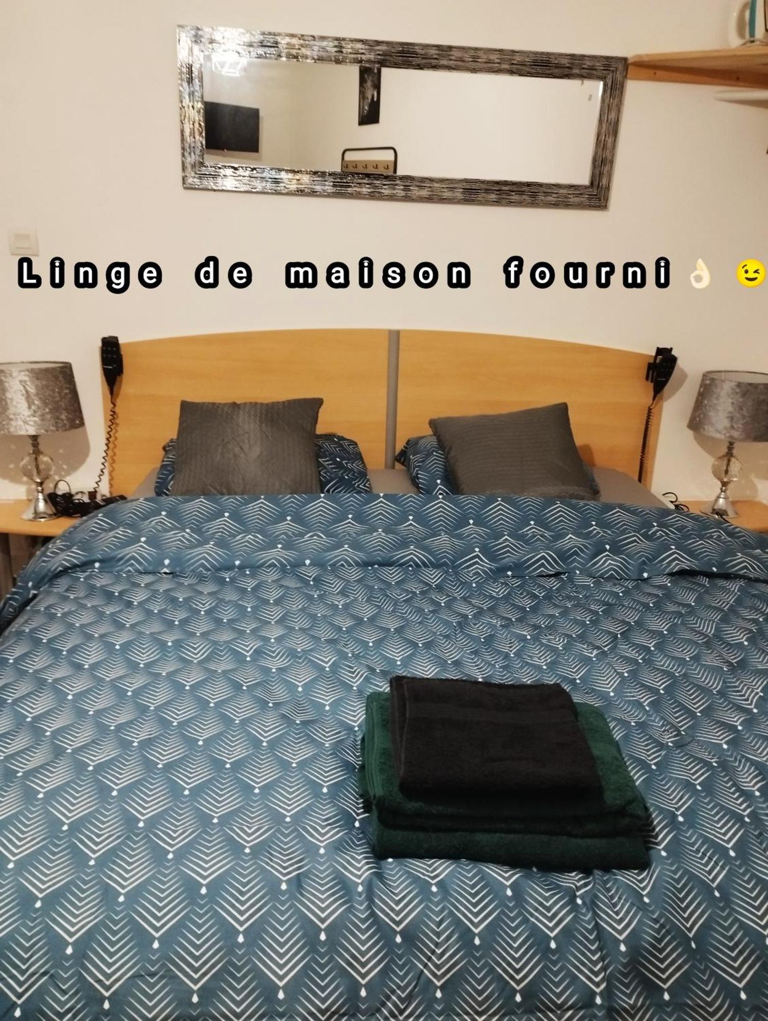 Appartement Avec Cour Plein Centre Foix Zewnętrze zdjęcie